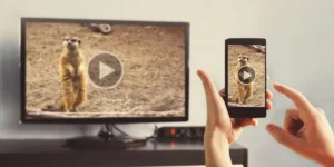 What Are the Best Features to Look for in a Smart TV?