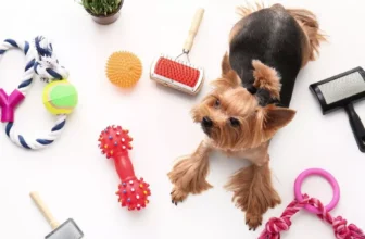 What Are the Best Grooming Products for Your Pet's Coat and Skin?