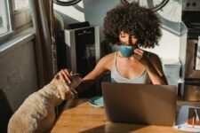 pet ownership necessities list
