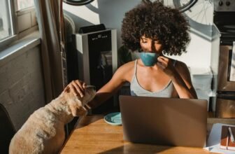 pet ownership necessities list