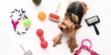 What Are the Best Grooming Products for Your Pet's Coat and Skin?